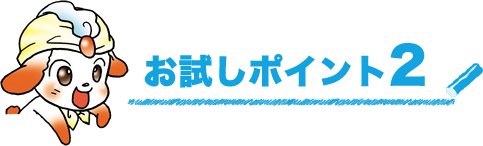 お試しポイント2