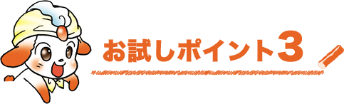 お試しポイント3