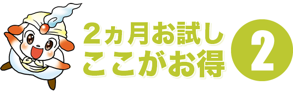 2ヵ月お試しここがお得2