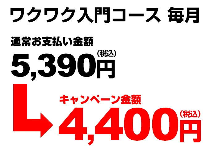 （期間限定値下）【8月〜3月】2024年 ブンブンどりむ1年生ワクワク入門コース 期間限定値下）【8月〜3月】2024年 ブンブンどりむ1年生